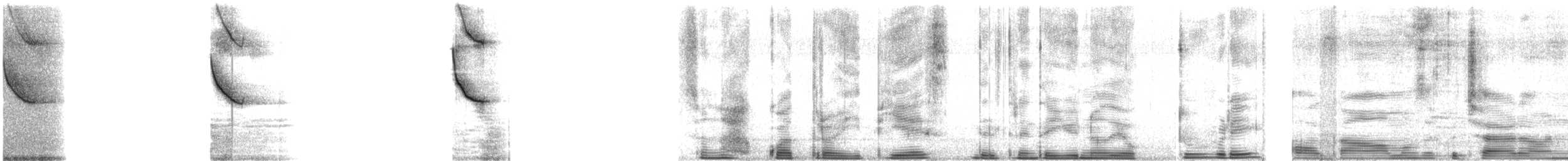 Кустарниковый трупиал - ML644649543