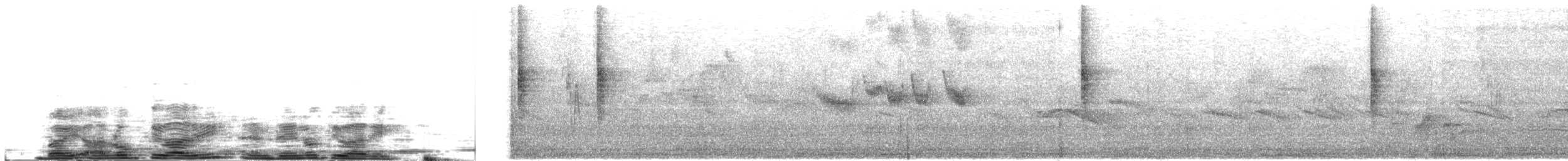 Dicée à gorge feu - ML644649625