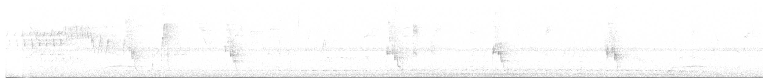 Scalloped Woodcreeper - ML644650074