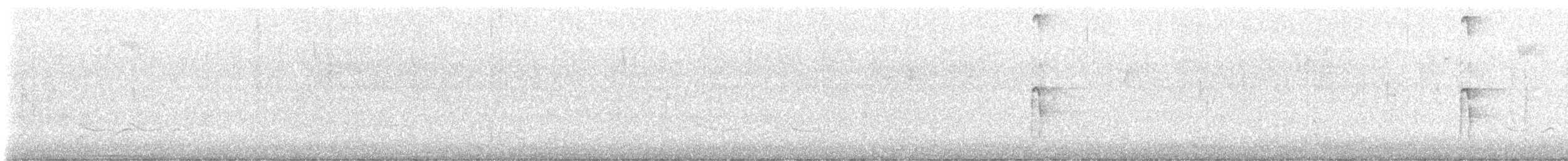 strakapoud americký - ML644651395