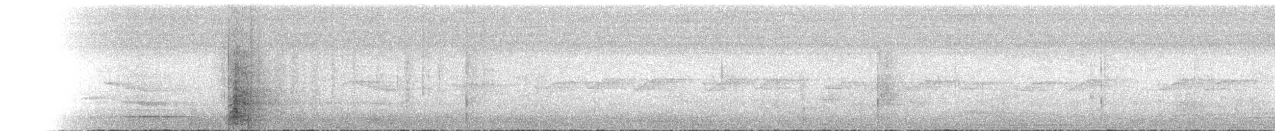 Greater Vasa Parrot - ML644652217