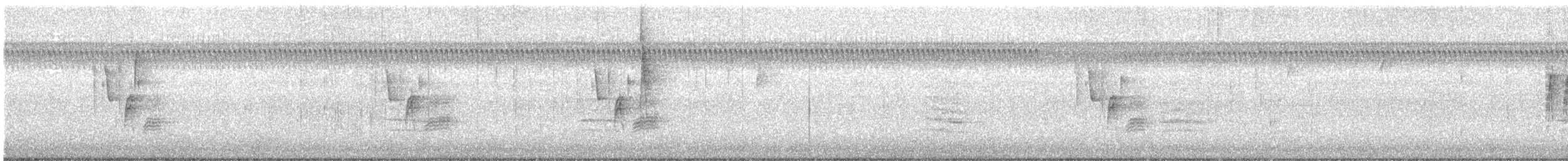 Wilson's Warbler - ML644652432