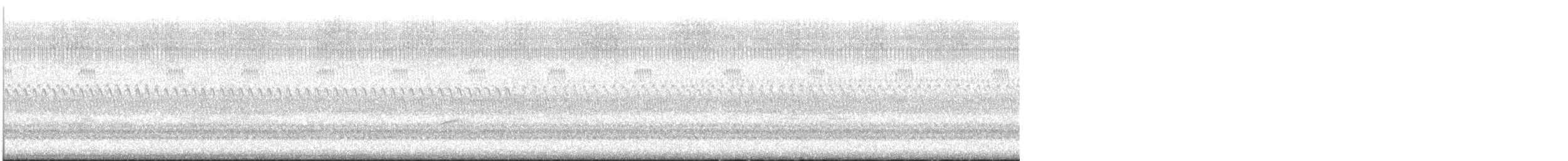 Swainson's Thrush - ML644652723