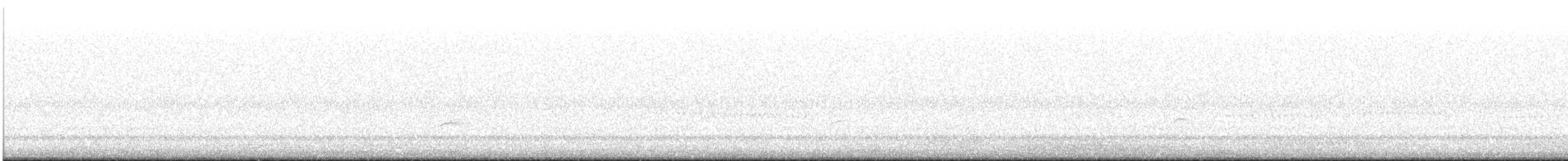 Swainson's Thrush - ML644652724