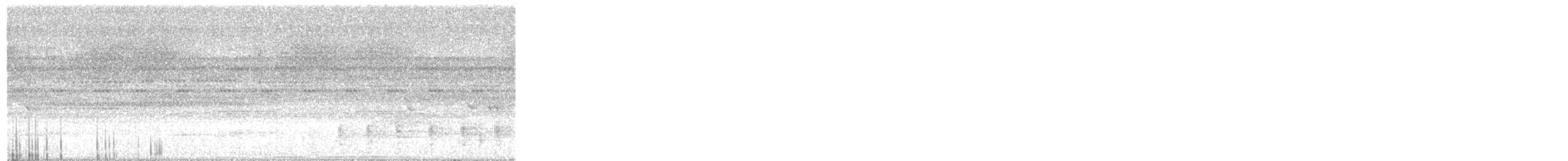 Hocco nocturne - ML644652806