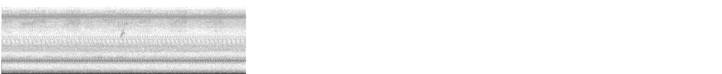 Paruline couronnée - ML644652817