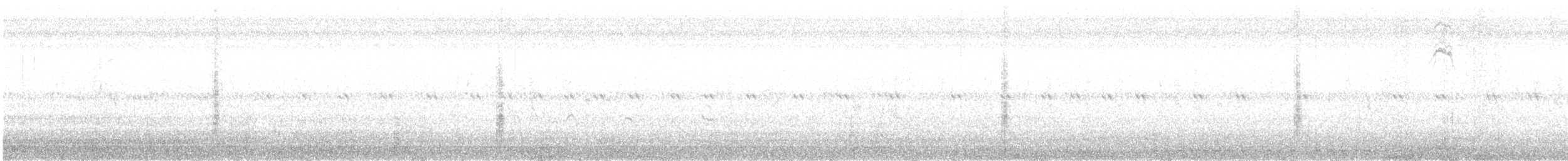 Blassspötter - ML644652971