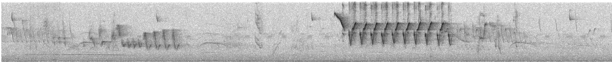 Chaco Sparrow - ML644653114