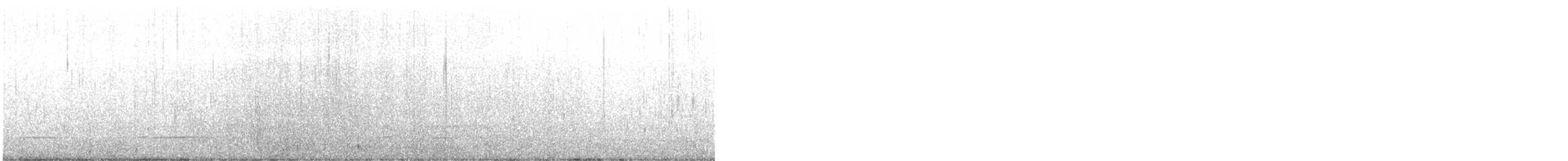 turpan žlutozobý - ML644653608