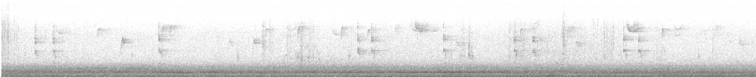 フユミソサザイ - ML644653896