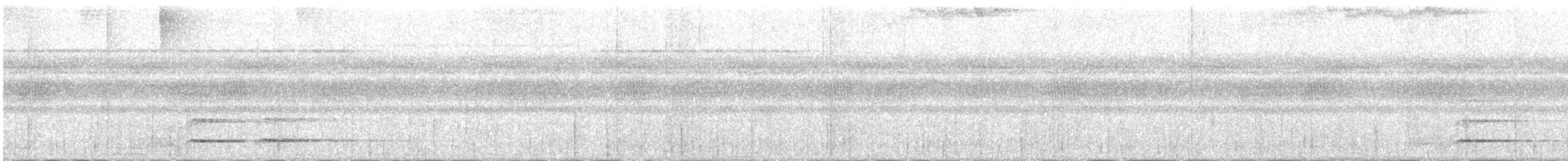 Tucán Pechiblanco - ML644654395