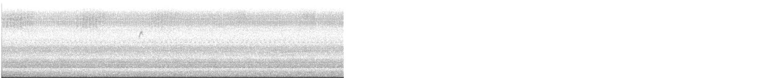 Paruline couronnée - ML644654654