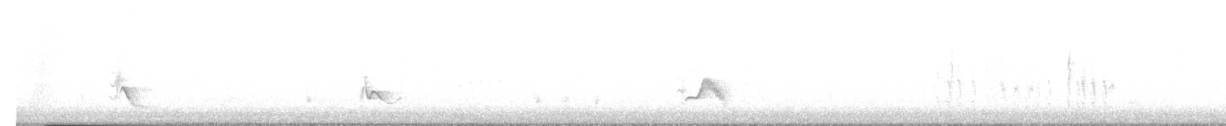 Weißstirnvireo - ML644654931