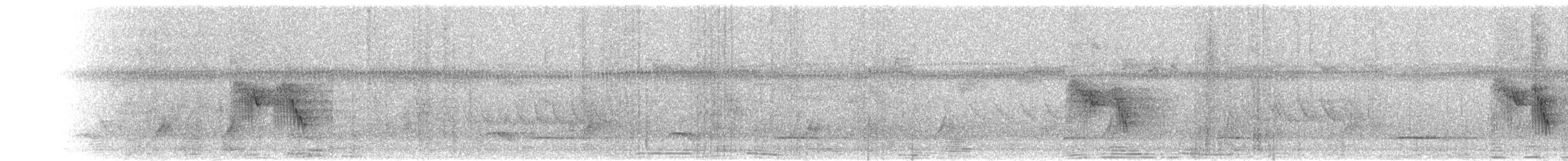 Madagascar Wagtail - ML644655346