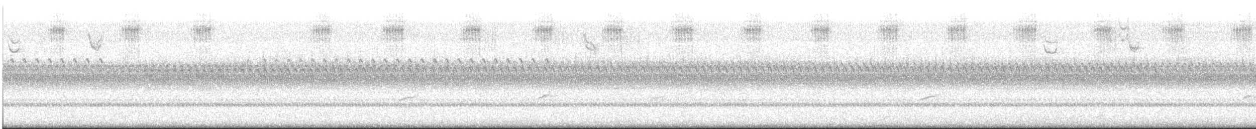 קיכלי זיתני - ML644656883