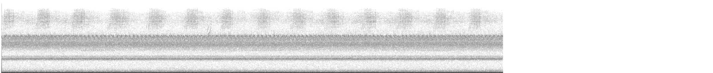 סבכון טנסי - ML644656943