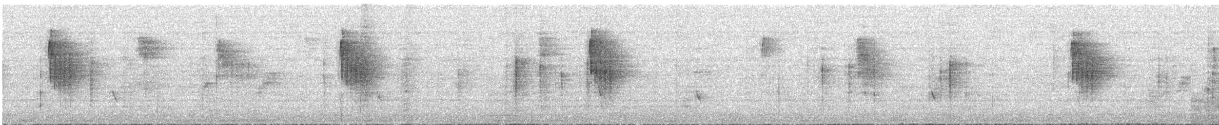 Сүүлт хөх бух - ML644657020