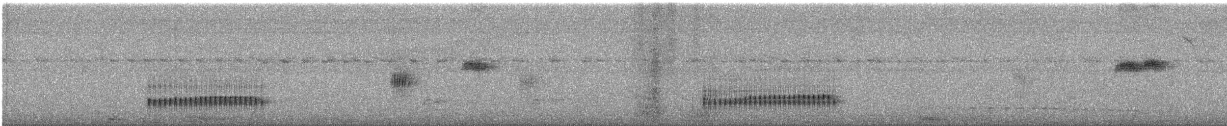 Yellow Tyrannulet - ML644657060