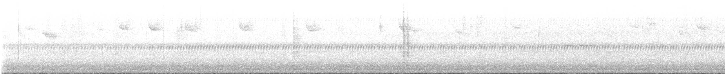 מלכילון אמריקני - ML644657797