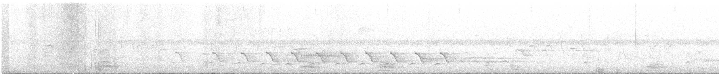 Common Raven - ML644657959