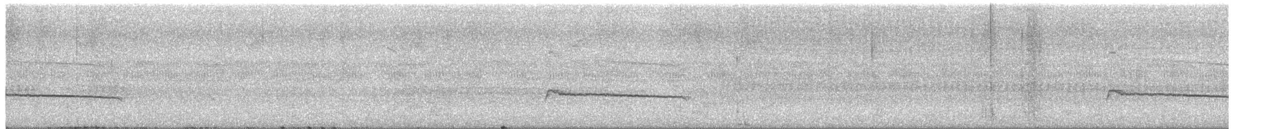 Venezuelan Tyrannulet - ML644658412