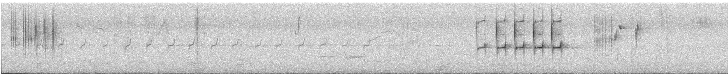 Black-chested Prinia - ML644659259