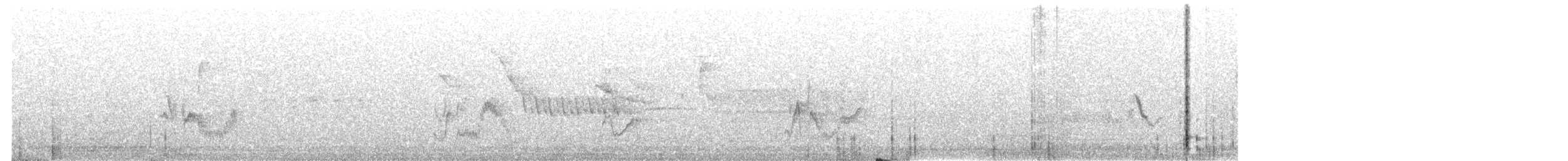 vireo sp. - ML644659296