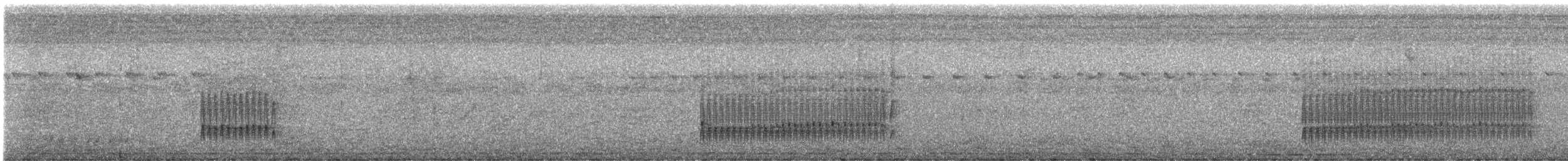 Yellow Tyrannulet - ML644659396