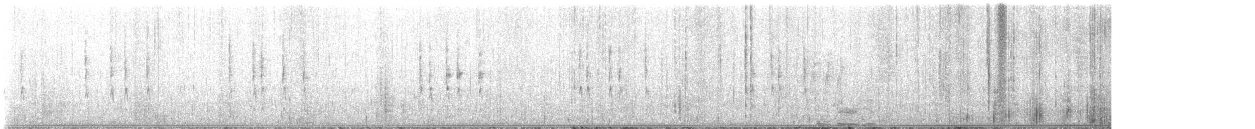 フユミソサザイ - ML644659530