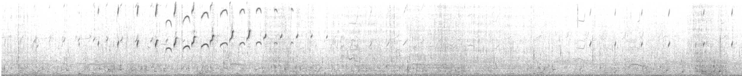 Black Guillemot - ML644659554