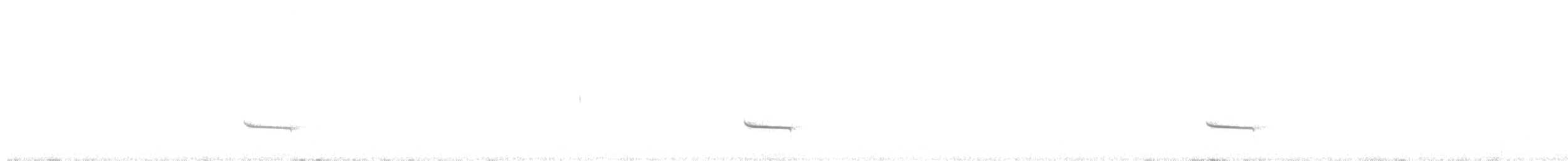 Boyaca Antpitta - ML644659679