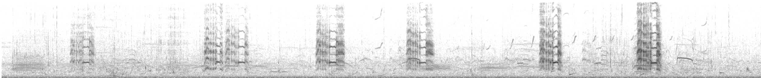 Sandwich Tern - ML644659905