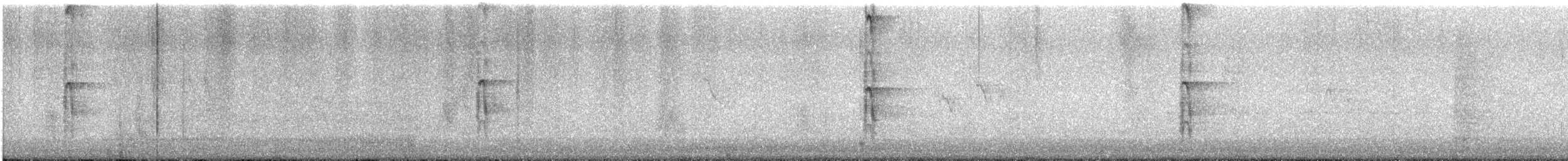 Hairy Woodpecker - ML644659949