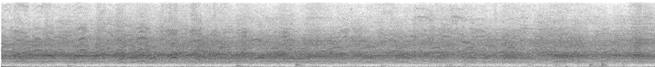 Black-headed Gull - ML644660290