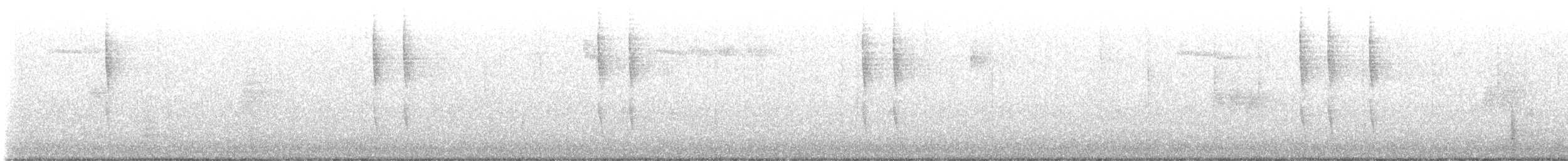 Pacific Wren - ML644661085