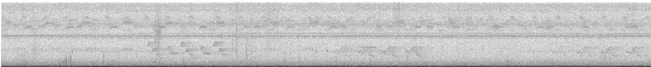 Carolina Wren - ML644661210