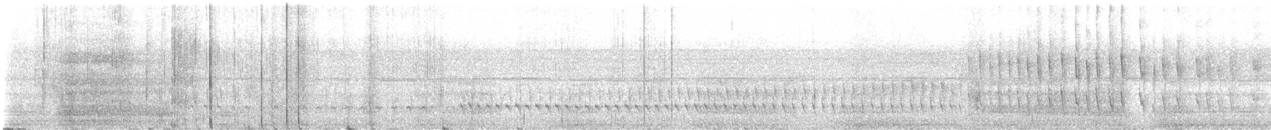 Black-banded Woodcreeper - ML644661895
