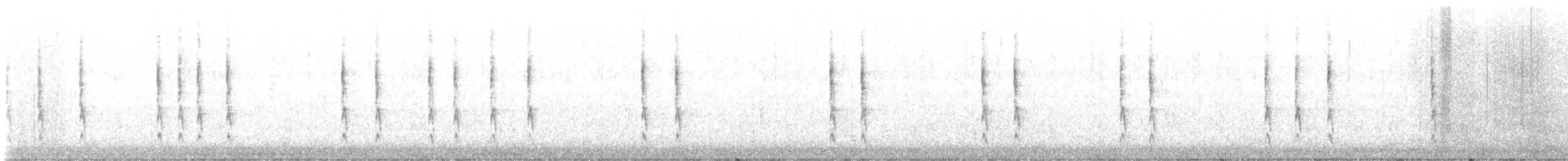 フユミソサザイ - ML644662104