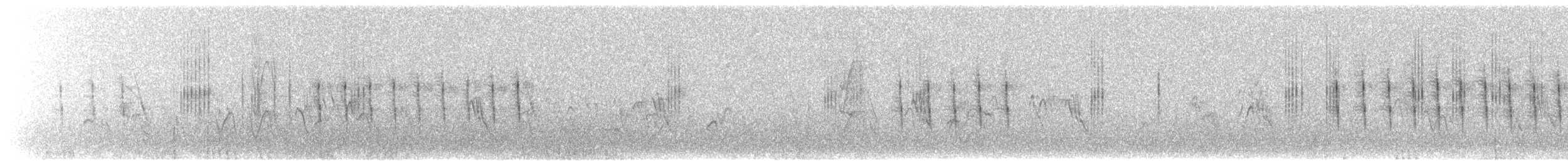 Black-chested Prinia - ML644662232