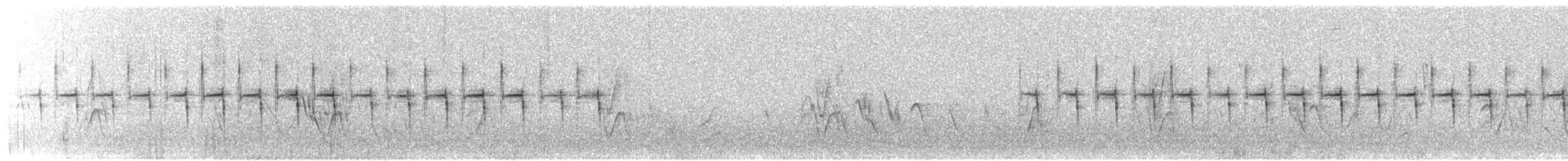 Black-chested Prinia - ML644662233