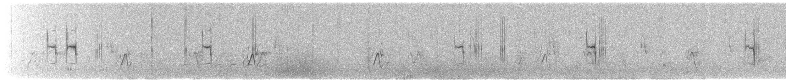 Black-chested Prinia - ML644662234