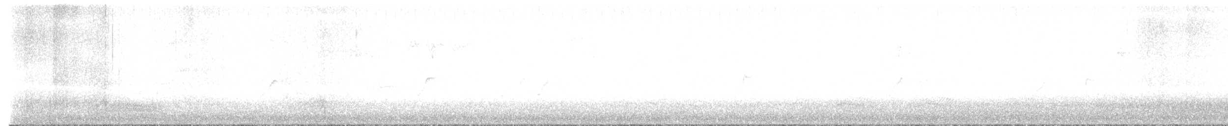 Mosquitero Común - ML644662375