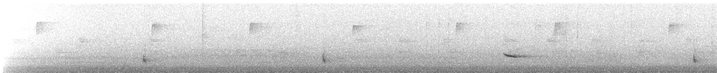 Hermit Thrush - ML644662893