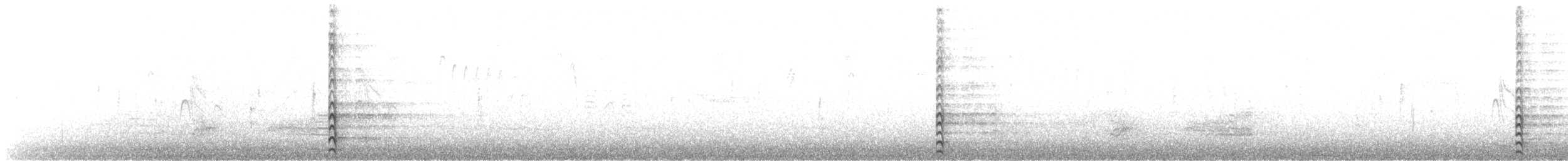 amerikasivhøne - ML644662941