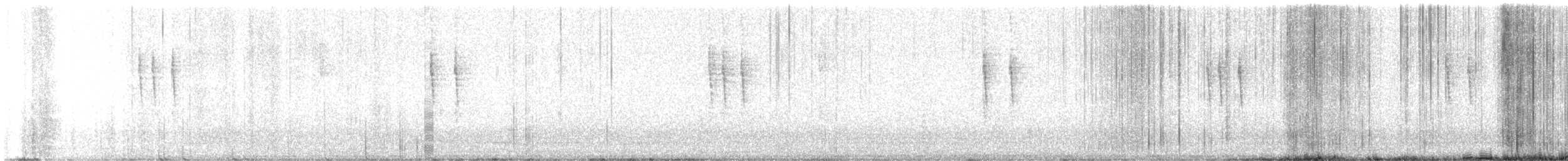 Pacific Wren - ML644663629