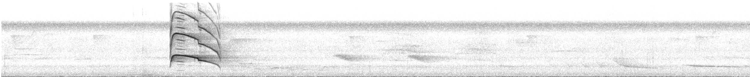 Gray-lined Hawk - ML644664155