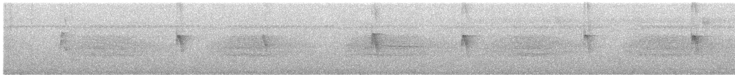 Tirahojas Mexicano - ML644664180