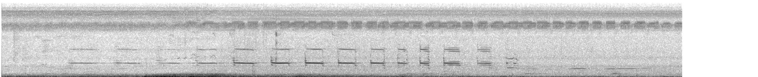 Garza Chiflona - ML644664545