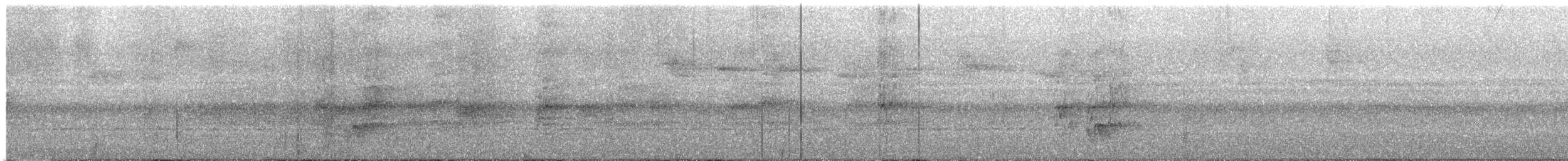 Black-faced Antthrush - ML644664596