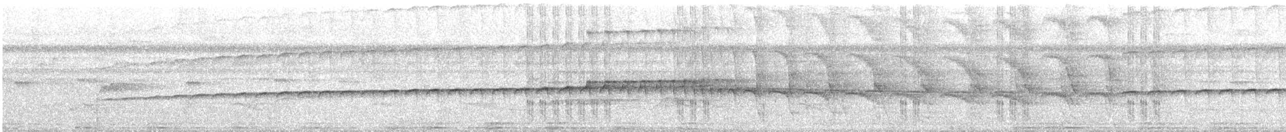 Ocellated Antbird - ML644664610